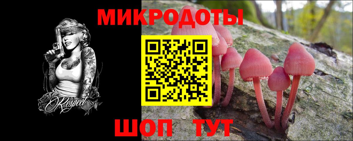 купить наркоту  Псилоцибиновые грибы прущие грибы  Костомукша  Вход с VPN  Псилоцибиновые грибы Psilocybe 