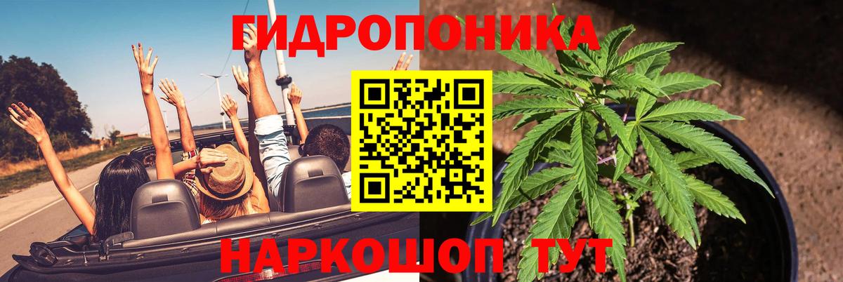 Марихуана индика Костомукша