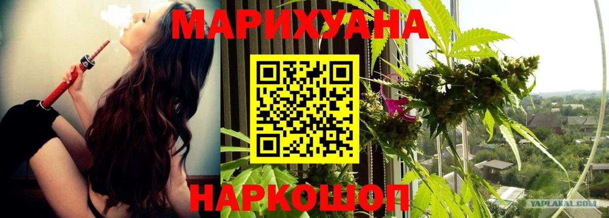 Канабис план  Каннабис марихуана  Конопля ГИДРОПОН  Костомукша  Вход с VPN 